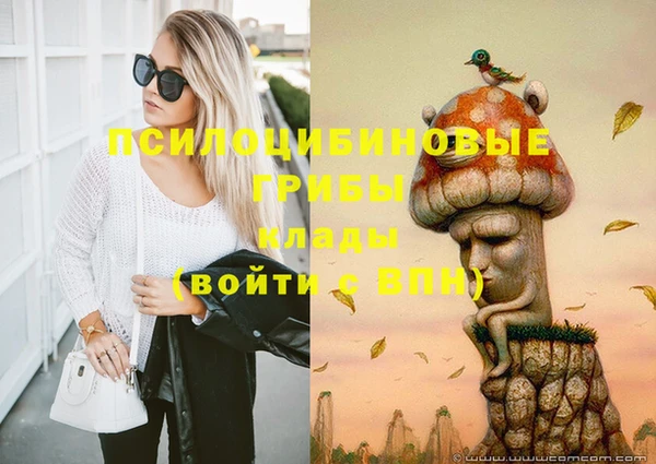 дмт Воткинск