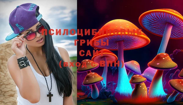 дмт Воткинск