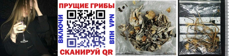 Галлюциногенные грибы MAGIC MUSHROOMS Липки